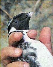image004.jpg