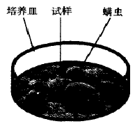 image027.gif