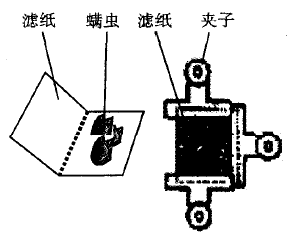 image029.gif