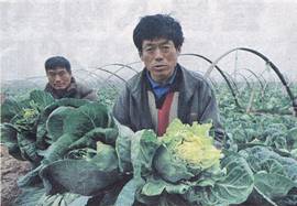 image004.jpg