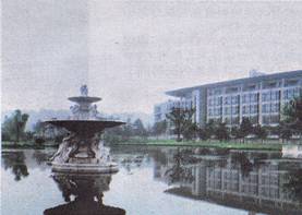 image007.jpg
