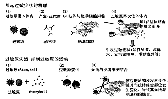 image004.gif