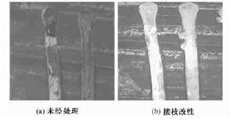 image017.gif