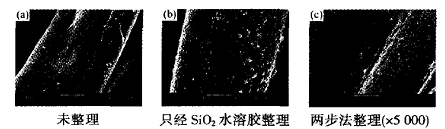 image004.gif