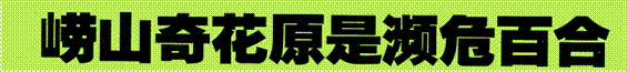 image002.gif