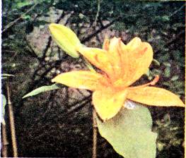 image004.jpg