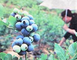 image010.jpg