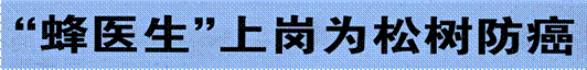 image002.gif