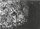 image003.jpg