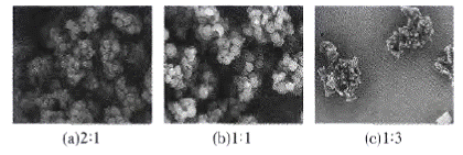 image026.gif