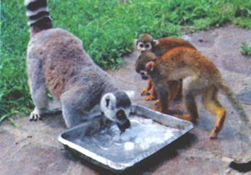 image008.jpg