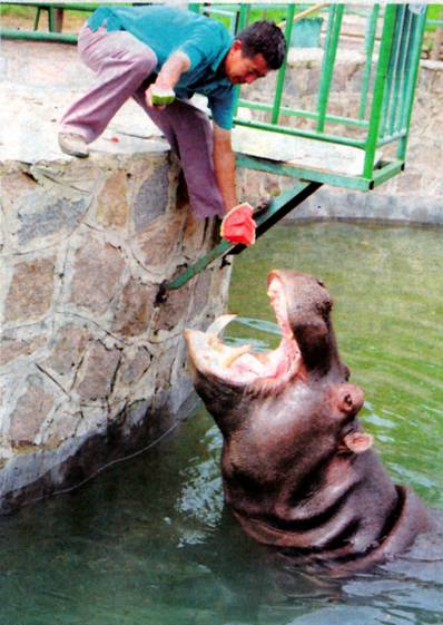 image010.jpg