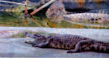 image011.jpg