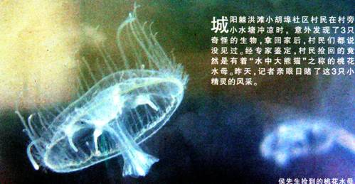 image006.jpg