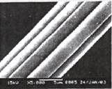 image007.jpg