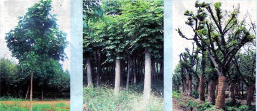 image003.jpg
