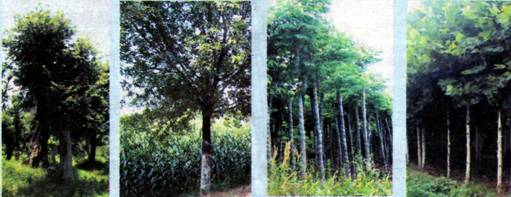 image004.jpg
