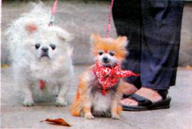 image002.jpg