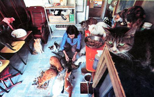 image004.jpg