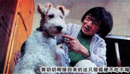 image006.jpg