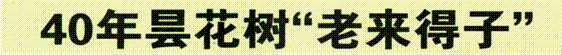 image002.gif