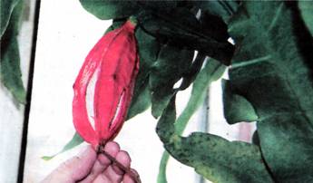 image004.jpg