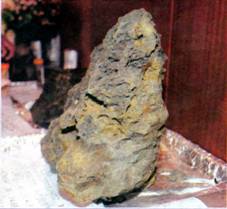 image012.jpg