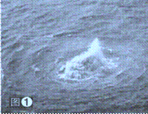 image004.gif