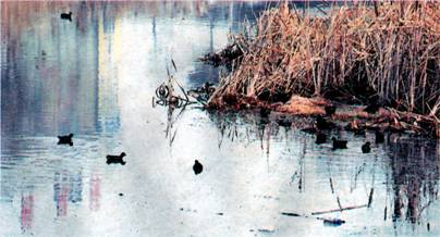 image011.jpg