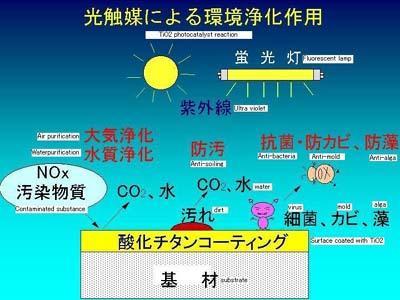 http://www.guangcuihua.com/../../Upload/20081231231018335.jpg