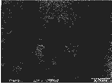 image001.gif