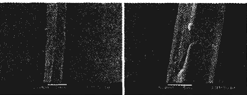 image002.gif