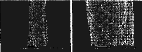 image004.gif