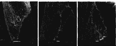 image005.gif