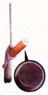 image002.jpg