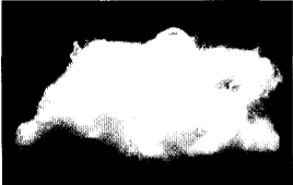 image002.gif