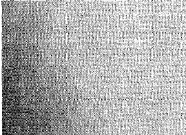image010.gif