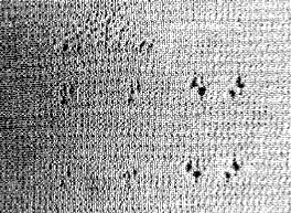 image011.gif
