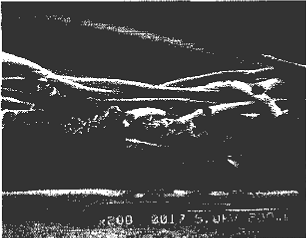 image017.gif