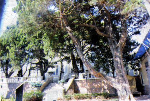image006.jpg