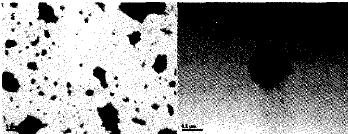 image013.gif