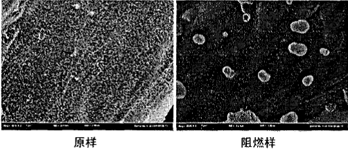 image009.gif