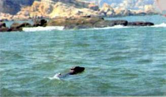 image010.jpg
