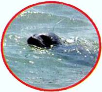 image012.jpg