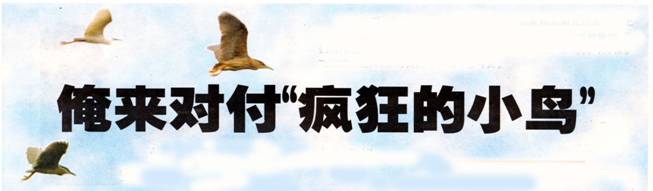 image006.jpg