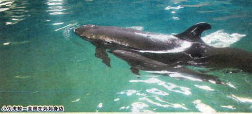 image003.jpg