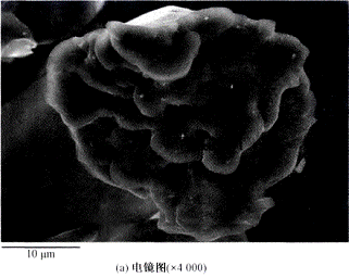 image007.gif