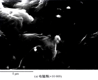 image008.gif