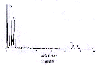 image011.gif