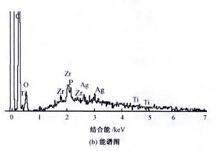 image013.gif